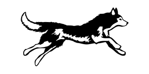 yeti dog bowl custom